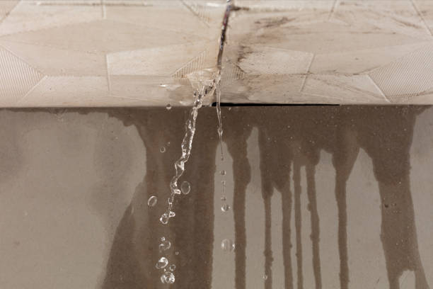 Professional Flood Damage Cleanup technician working in Forest Hills, NY